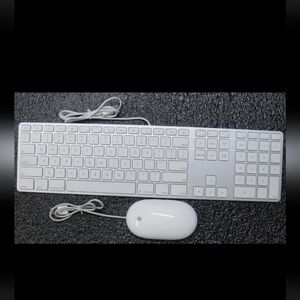 Apple Keyboard A1243 with Apple Mighty Mouse - Model A1152